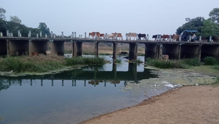 A birbhum river, kopai where sandmining occurs