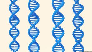 DNA