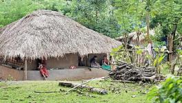 Tribals