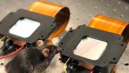 Can Hallucination Be Triggered Experimentally? Scientists Say Yes