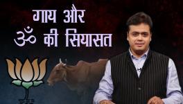 Politics of Cow and Om