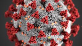 Coronavirus in Bihar