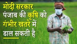 Agriculture in Punjab