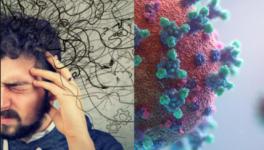 COVID-19:  Why do Some Patients Suffer Brain Damage?