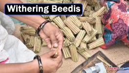  Pandemic-hit Beedi Workers