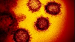ovid immunity.