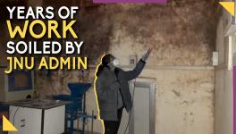 Termites Infest Lab in JNU