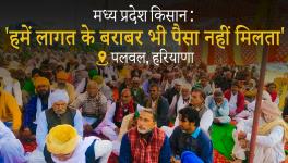 We Don’t Even Get What We Invest From Selling Crops