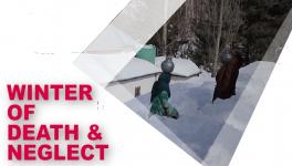 A Winter of Death and Neglect