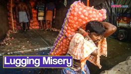 Koyambedu Headload Workers Neglected and Overburdened