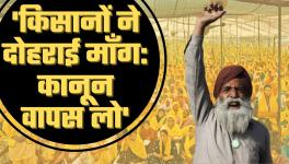 Farmers' Protest at Delhi's Border