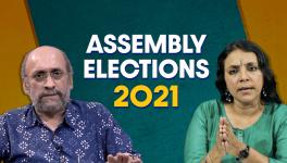 What the Numbers Show