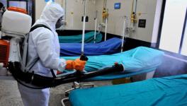AMU doctor Died