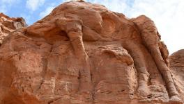 Saudi Arabian Animal Sculpture Maybe Older Than the Pyramids and the Stonehenge, Study Finds