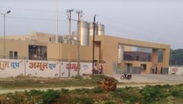 MILK PLANT