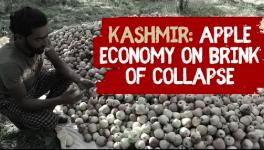 Apple Traders in Kashmir Worried About Their Future
