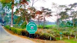 The Bargang Tea Estate in Behali, Assam. This tea garden is owned by Goodricke.