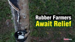 Heavy Rains and Poor Irrigation Impede 'White Gold' Yield