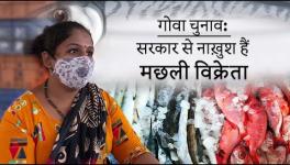 Looking at Issues of Fish Sellers