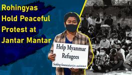 Rohingyas Seek World Attention as war Crimes Against Them Continue