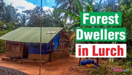 Kani Tribes of Kanyakumari Denied Rights