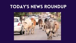 The Bill, passed recently, requires cattle rearers to obtain a licence to keep such animals in cities and towns, failing which they may face imprisonment.