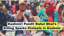 Kashmiri Pandit Rahul Bhat’s Killing Sparks Protests in Kashmir