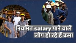 Why did the Salaried Class Decrease by 2%?  