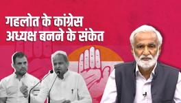 Does Rahul Want to Hand Over the Reins of Congress to Gehlot by Stepping Back?