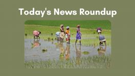 Paddy sowing in Jharkhand worst hit, halves to 8.25 lakh hectares so far, compared with 17.62 lakh hectares in the year-ago period.