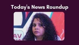 rana ayyub