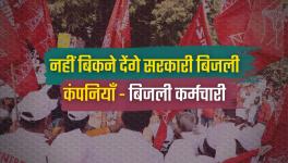 Demonstration of electricity employees against privatisation