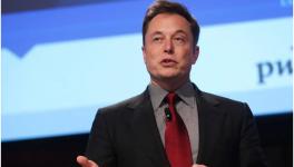 Musk’s Neuralink Kills 1,500 Animals in Research Rush, Faces Federal Probe