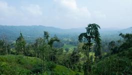 Hills of Dolamora