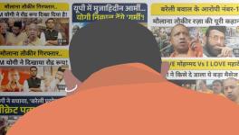 yogi