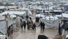 Source: World Health Organization/X