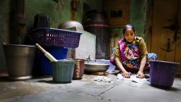 domestic Image Courtesy: Flickr