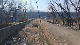 A picture revealing the condition of the dried canals (Photo - Zeeshan Shabir) .