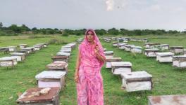 Anita Dhakad with her bee boxes (Photo sourced from Anita)