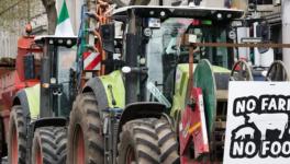 Source: Communist Party of Ireland/X