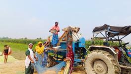 A maize threshing machine separates corn kernels from cobs on the bank of the Hajo Suti River in Bangalpara village (Photo - Maitreyee Boruah, 101Reporters)