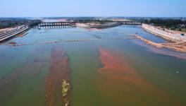 Tawi river project ( Photo - Khushi Jaiswal, 101Reporters ) 