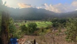 Agriculture field at Kamanda Palla village in Pauri Garhwal, Uttarakhand (Photo - Inder Bisht, 101Reporters)