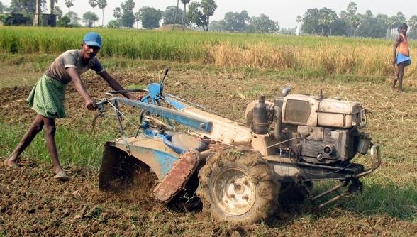 Peasantry in Rural India