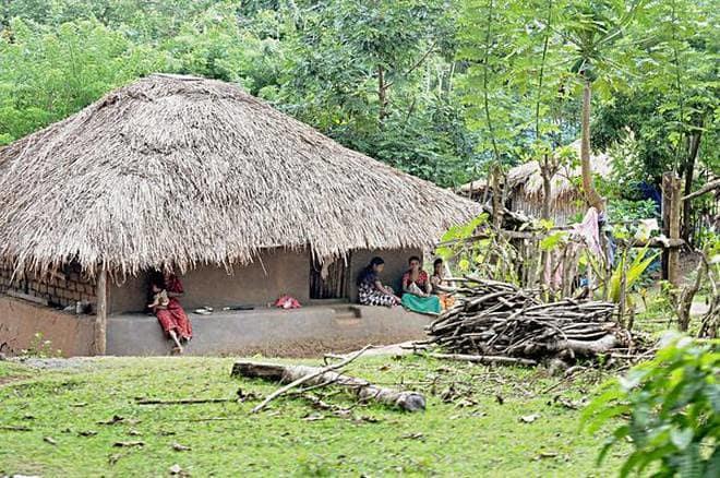 Tribals