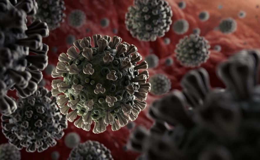 Coronavirus Lockdown
