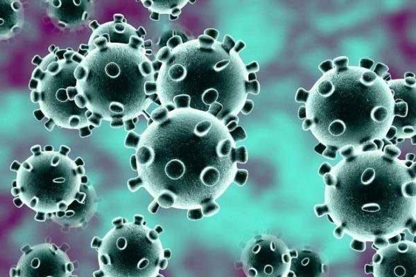 Coronavirus in Telugu states