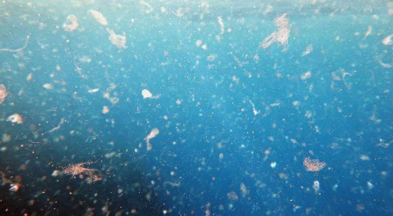 Plastics on Sea Surface Settle Deep in Sea Floor