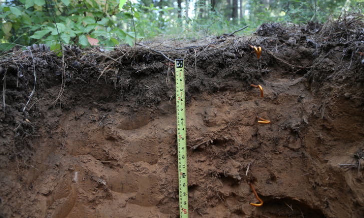 Soil Carbon