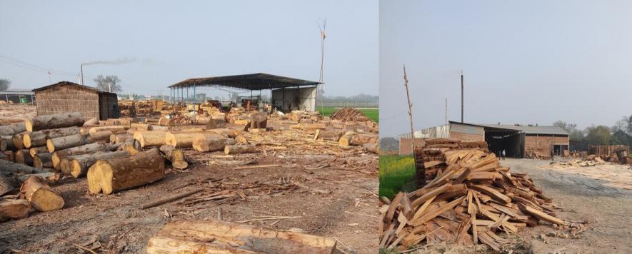 Wood industry in Bihar
